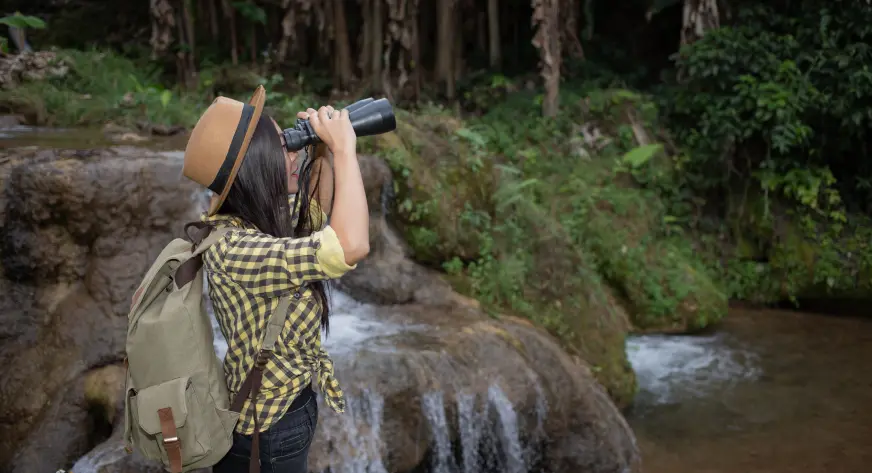 birdwatching tours