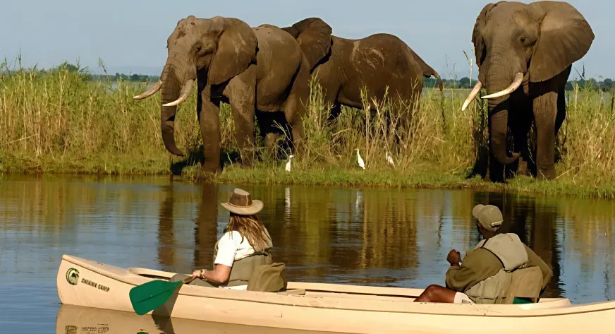 Canoe Safari for Kids & Families