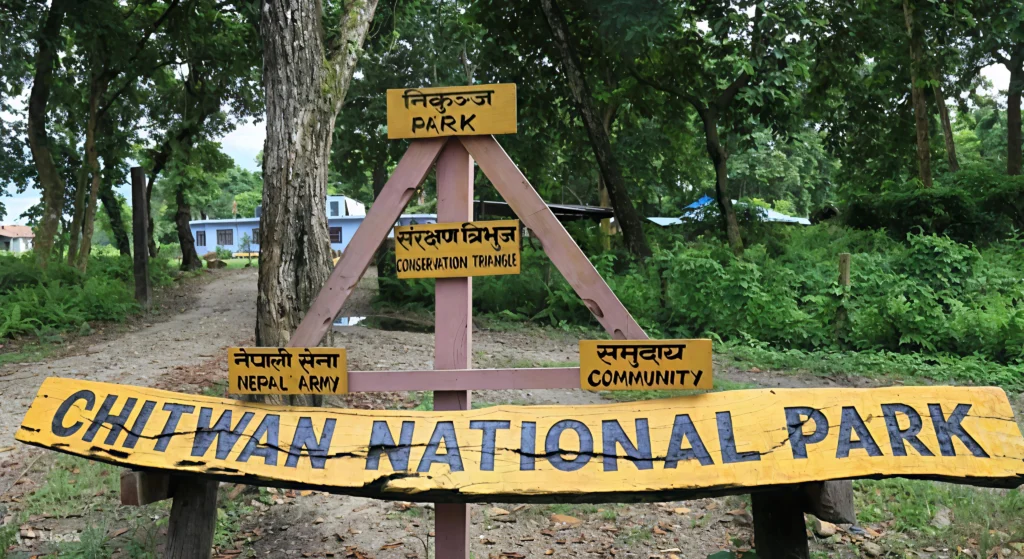 chitwan national park