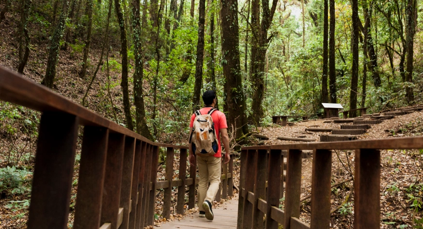 nature trails & jungle walks